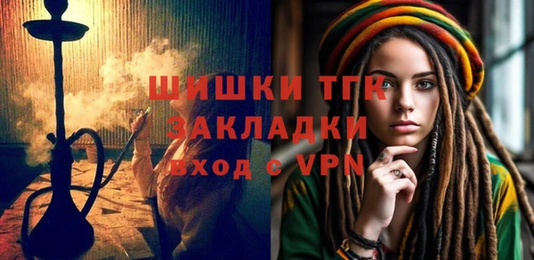 молекула духа Осташков