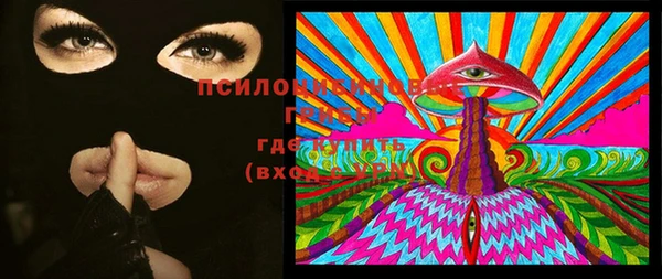 винт Няндома