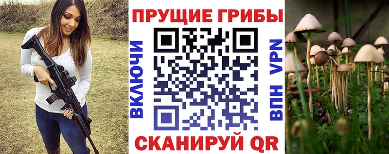 Псилоцибиновые грибы ЛСД  Бабаево 